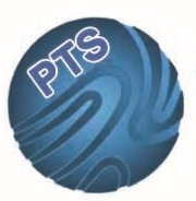 Paradise Techsoft Solutions
