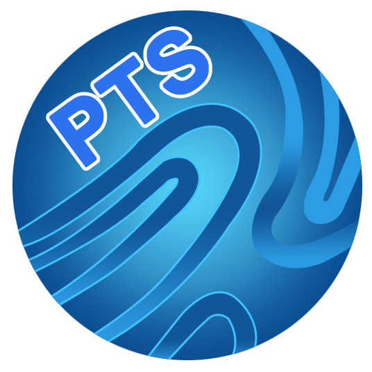 Paradise Techsoft Solutions