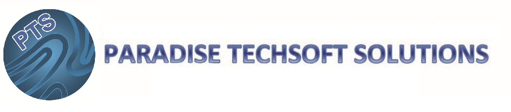 Paradise Techsoft Solutions